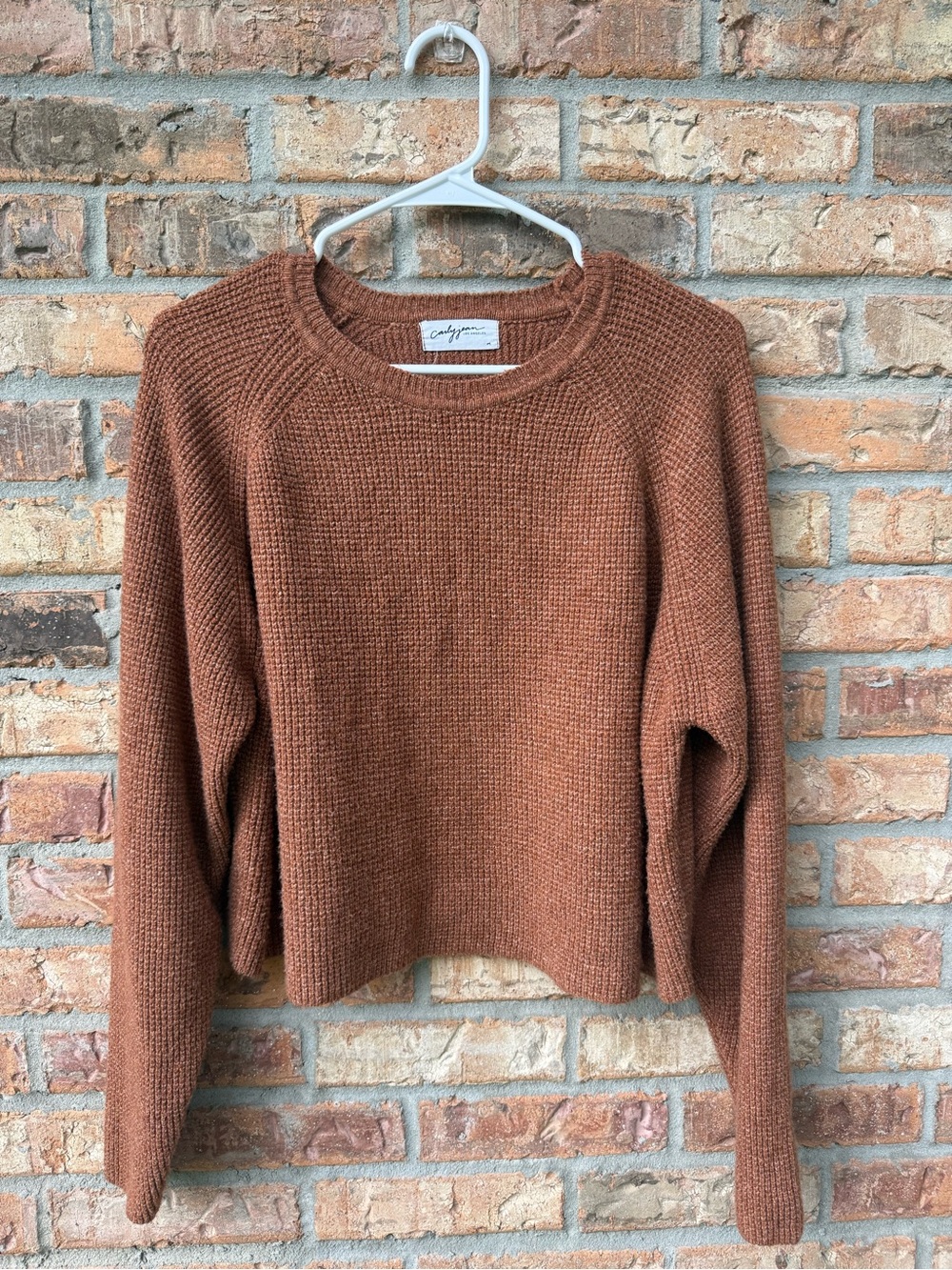 Carly Jean Los Angeles Cropped Crewneck Sweater - Rust
